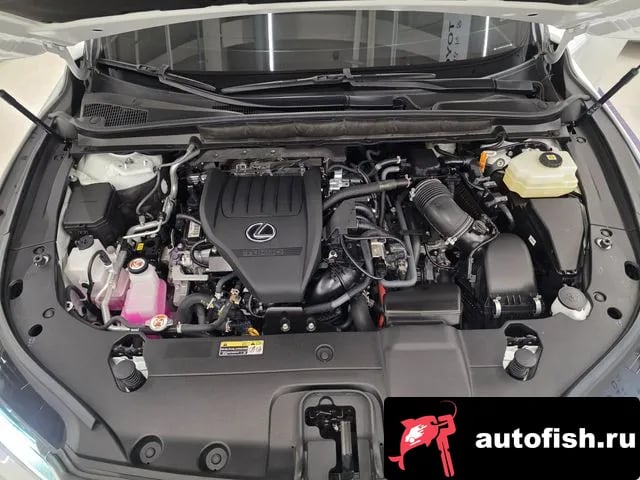 Lexus RX RX500h 5th generation 2025 года - вид 6