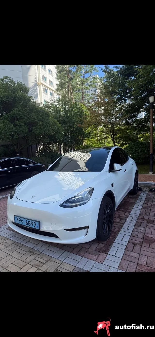 Tesla Model Y Model Y 2022 года - похожие автомобили