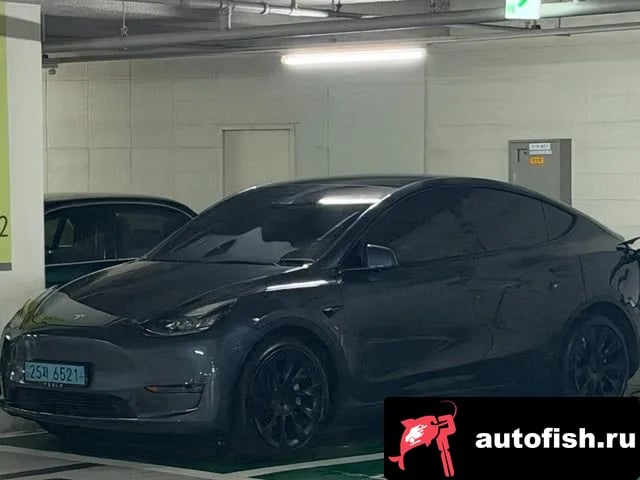 Tesla Model Y Model Y 2021 года - похожие автомобили