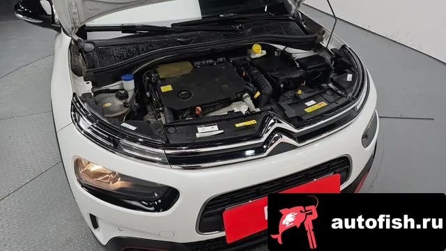 Citroen-DS C4 CACTUS C4 Cactus 2020 года - вид 6