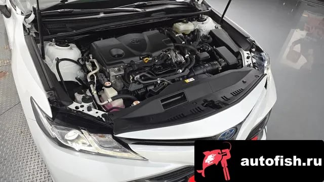 Toyota Camry Camry (XV70) 2019 года - вид 6