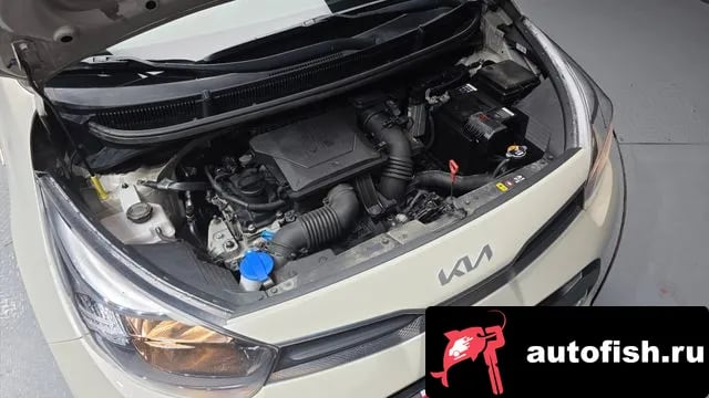Kia morning Morning Urban (JA) 2022 года - вид 6