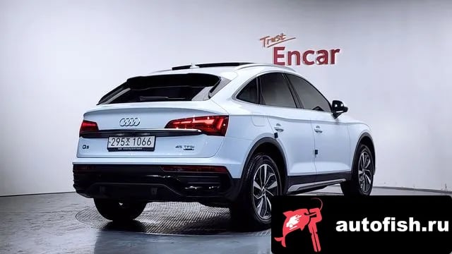 Audi Q5 Q5 (FY) 2023 года - вид 2