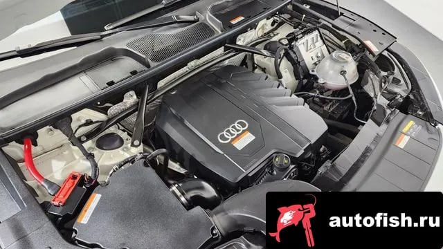 Audi Q5 Q5 (FY) 2023 года - вид 6