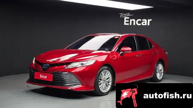 Toyota Camry Camry (XV70) 2019 года - вид 1