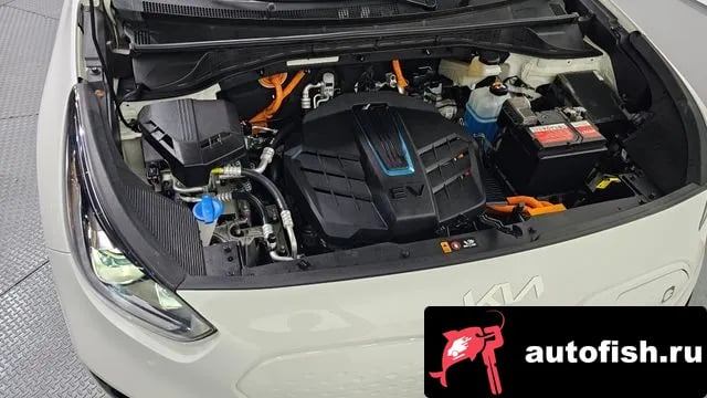 Kia Niro Niro EV 2021 года - вид 6