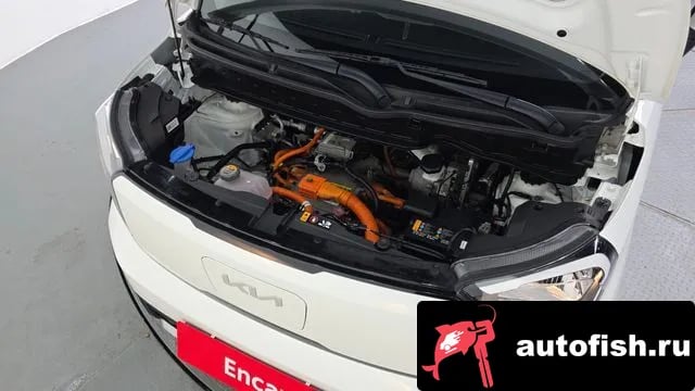 Kia RAY The New Kia Ray EV 2023 года - вид 5
