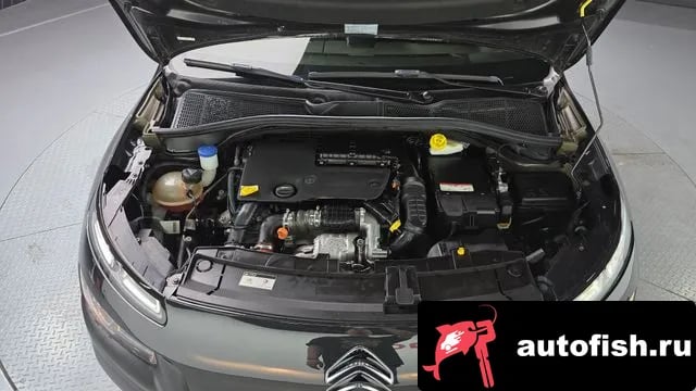 Citroen-DS C4 CACTUS C4 Cactus 2018 года - вид 6