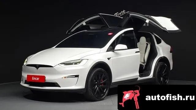 Tesla Model X Model X 2023 года - автомобиль из Южной Кореи