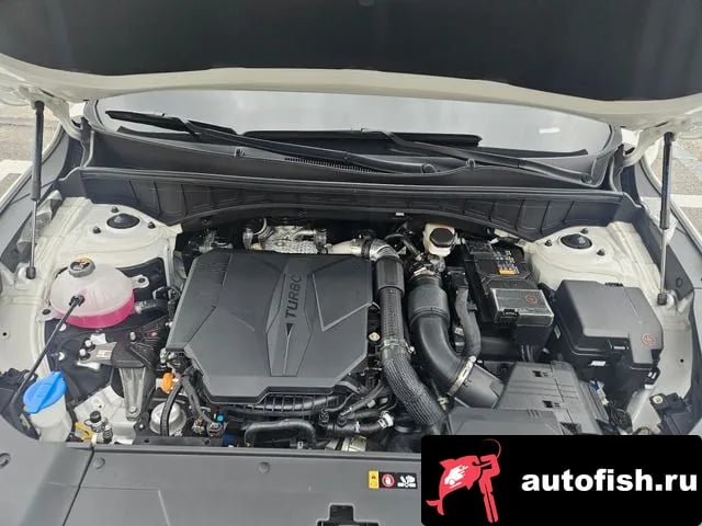 Kia Sorento The New Sorento 4th Generation 2025 года - вид 6