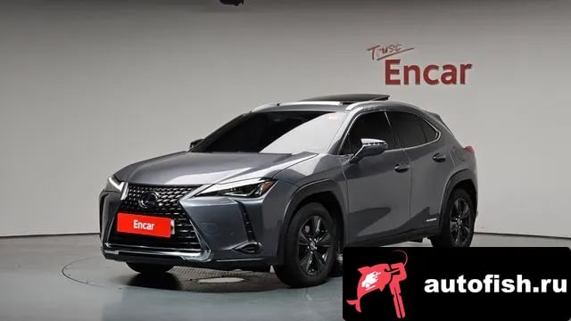 Lexus UX UX250h 2019 года - вид 1