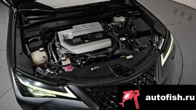 Lexus UX UX250h 2019 года - вид 6