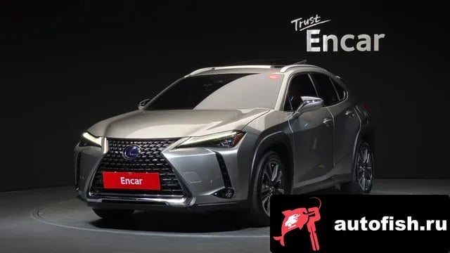 Lexus UX UX250h 2019 года - вид 1