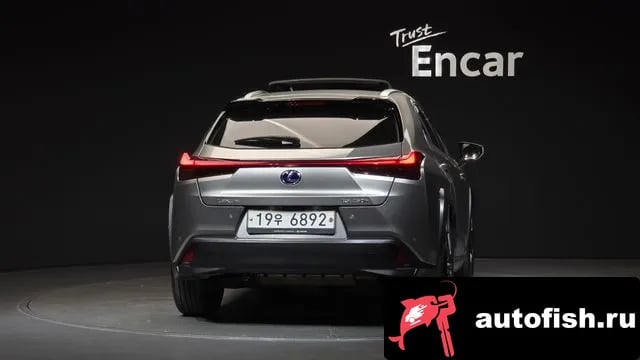 Lexus UX UX250h 2019 года - вид 4