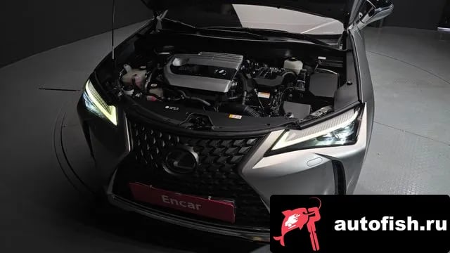 Lexus UX UX250h 2019 года - вид 6