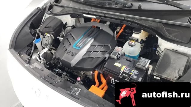 Kia Niro Niro Plus 2023 года - вид 6