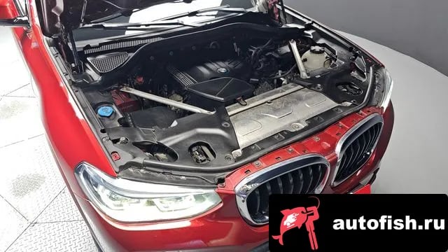 BMW X4 X4 (G02) 2019 года - вид 6