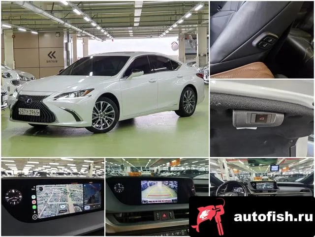 Lexus ES ES300h 7th generation 2020 года - вид 1