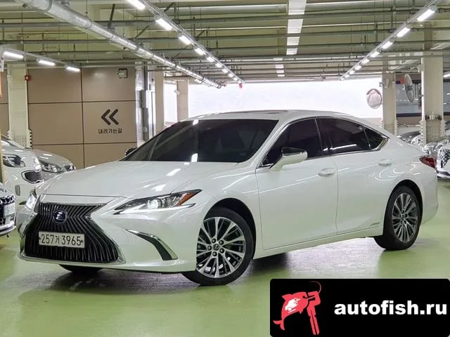 Lexus ES ES300h 7th generation 2020 года - вид 2