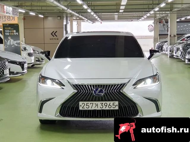 Lexus ES ES300h 7th generation 2020 года - вид 4