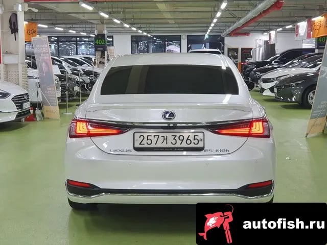 Lexus ES ES300h 7th generation 2020 года - вид 5