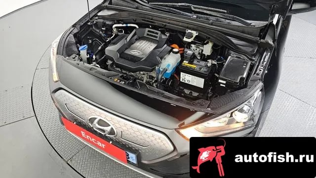 Hyundai Ioniq The New Ionic Electric 2020 года - вид 6