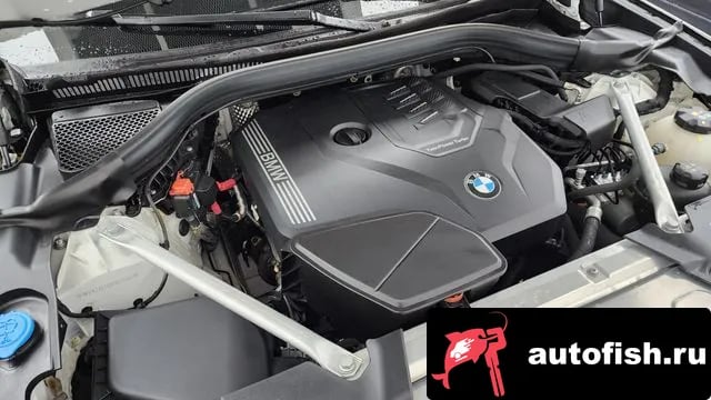 BMW X4 X4 (G02) 2023 года - вид 6