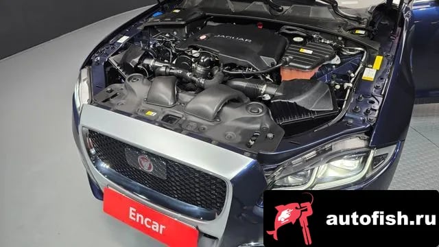 Jaguar XJ All New XJ 2019 года - вид 6