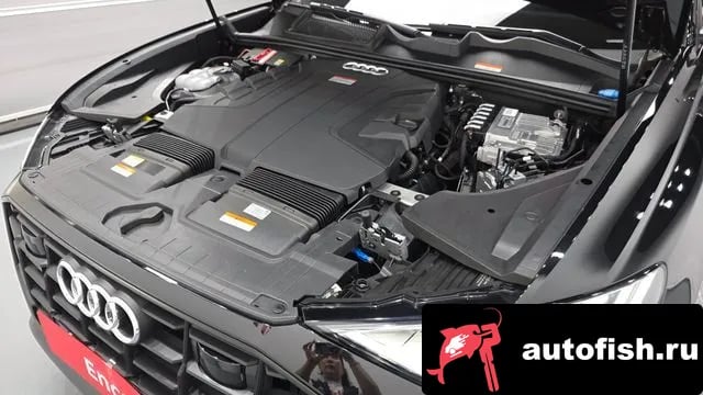 Audi Q8 Q8 (4M) 2023 года - вид 6