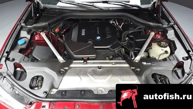 BMW X4 X4 (G02) 2019 года - вид 6