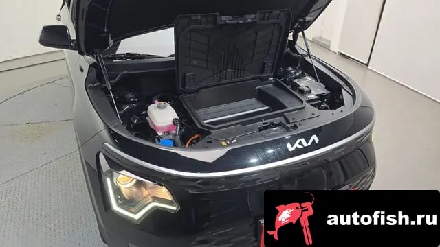 Kia Niro Di All New Niro EV 2023 года - вид 6