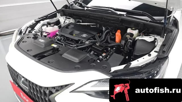 Lexus NX NX350h Second generation 2025 года - вид 5