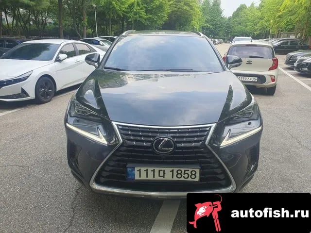 Lexus NX NX300h 2021 года - похожие автомобили