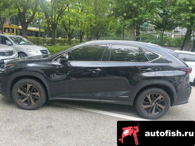 Lexus NX NX300h 2021 года - вид 3