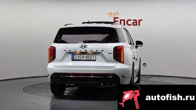 Hyundai Palisade The New Palisade 2024 года - вид 4