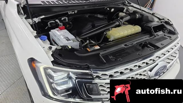 Ford Expedition Expeditation 2021 года - вид 6