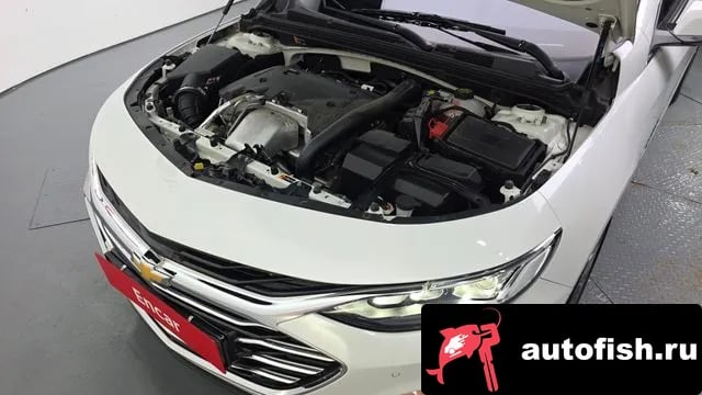 Chevrolet (GM Daewoo) Malibu The New Malibu 2020 года - вид 6