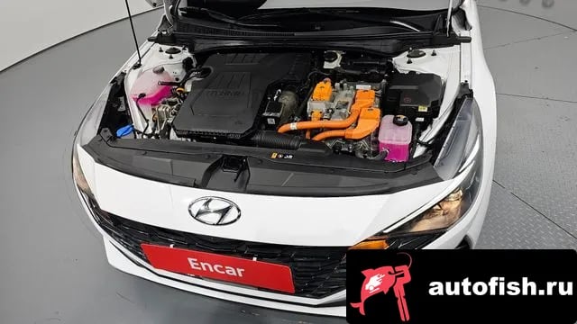 Hyundai AVANTE Avante Hybrid (CN7) 2023 года - вид 6