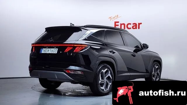 Hyundai Tucson Tucson (NX4) 2023 года - вид 2