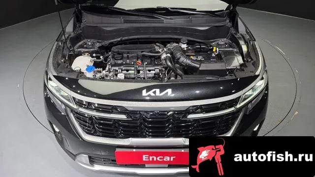 Kia Seltos The New Celtos 2024 года - вид 6