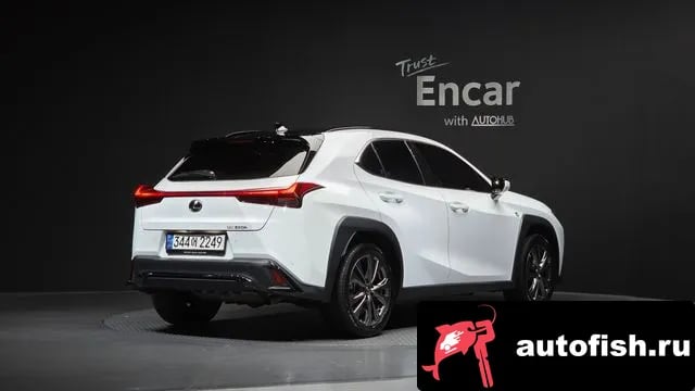 Lexus UX UX250h 2023 года - вид 1