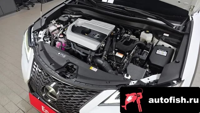 Lexus UX UX250h 2023 года - вид 5