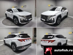 Миниатюра 5