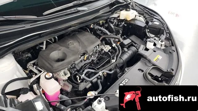 Toyota Sienna Siena 4th Generation 2022 года - вид 6