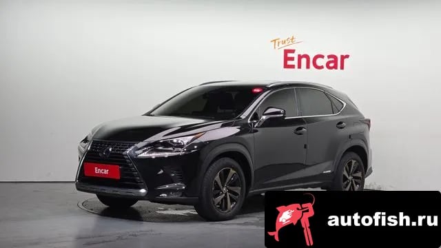 Lexus NX NX300h 2021 года - автомобиль из Южной Кореи
