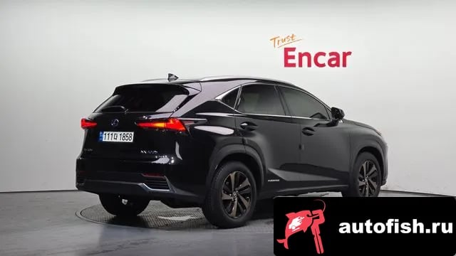Lexus NX NX300h 2021 года - вид 2