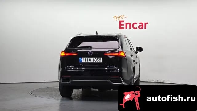 Lexus NX NX300h 2021 года - вид 4