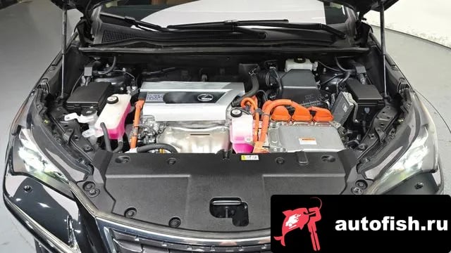 Lexus NX NX300h 2021 года - вид 6