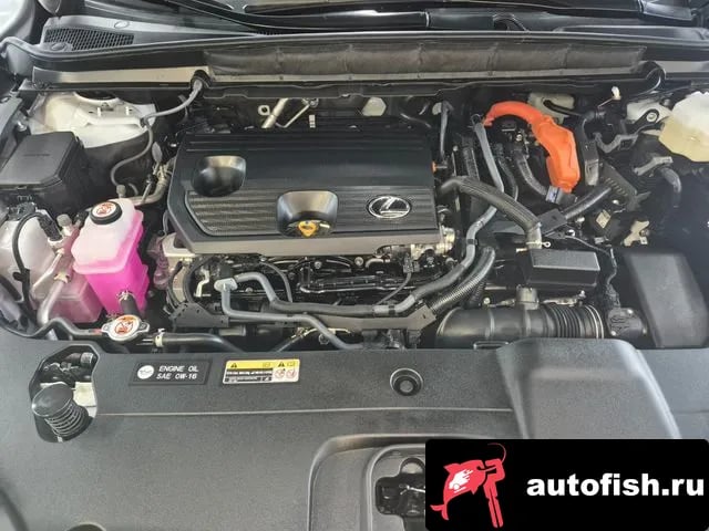 Lexus RX RX350h 5th generation 2025 года - вид 6