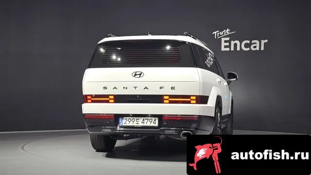 Hyundai Santafe San Tafe (MX5) 2024 года - вид 4